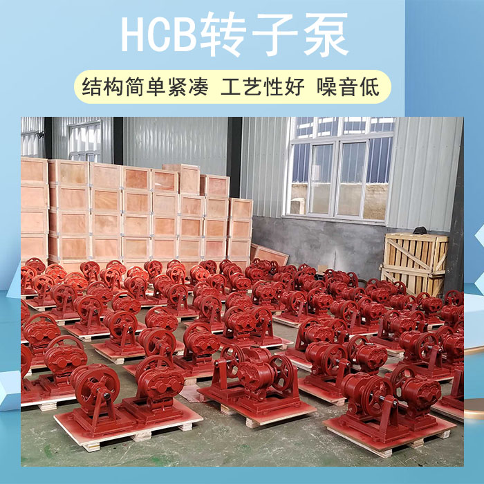 HCB轉(zhuǎn)子泵